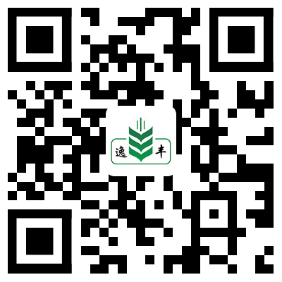 手機版二維碼