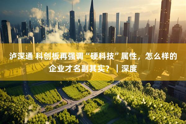 泸深通 科创板再强调“硬科技”属性，怎么样的企业才名副其实？｜深度