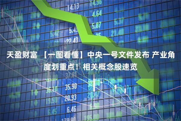 天盈财富 【一图看懂】中央一号文件发布 产业角度划重点！相关概念股速览