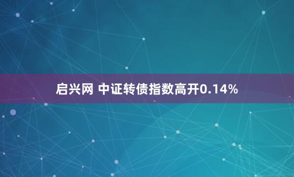 启兴网 中证转债指数高开0.14%
