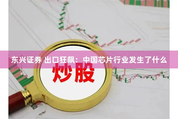 东兴证券 出口狂飙：中国芯片行业发生了什么