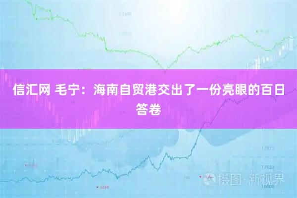 信汇网 毛宁：海南自贸港交出了一份亮眼的百日答卷