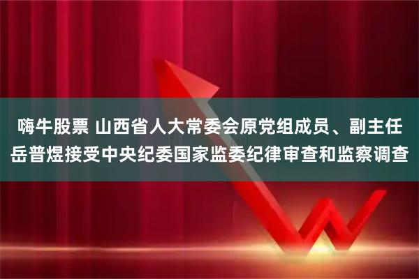 嗨牛股票 山西省人大常委会原党组成员、副主任岳普煜接受中央纪委国家监委纪律审查和监察调查