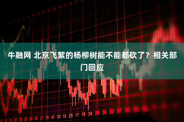 牛融网 北京飞絮的杨柳树能不能都砍了?相关部门回应
