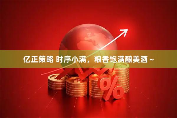 亿正策略 时序小满，粮香饱满酿美酒～