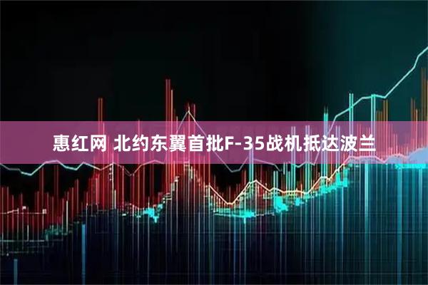 惠红网 北约东翼首批F-35战机抵达波兰