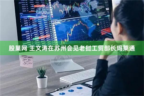股巢网 王文涛在苏州会见老挝工贸部长玛莱通