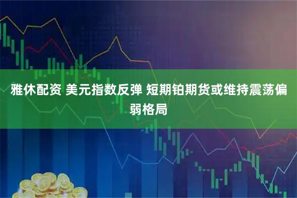 雅休配资 美元指数反弹 短期铂期货或维持震荡偏弱格局