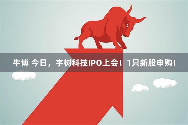 牛博 今日，宇树科技IPO上会！1只新股申购！