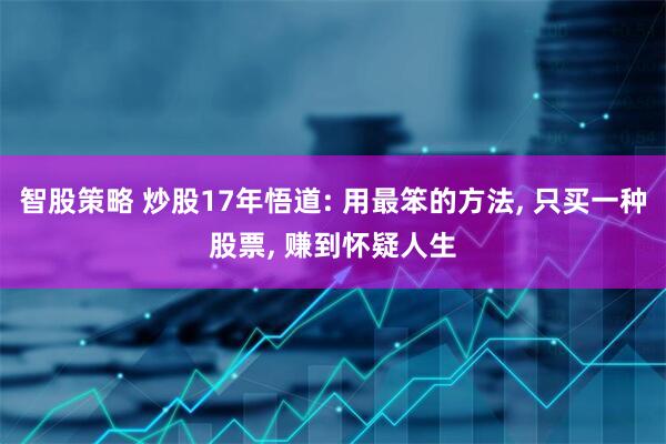 智股策略 炒股17年悟道: 用最笨的方法, 只买一种股票, 赚到怀疑人生